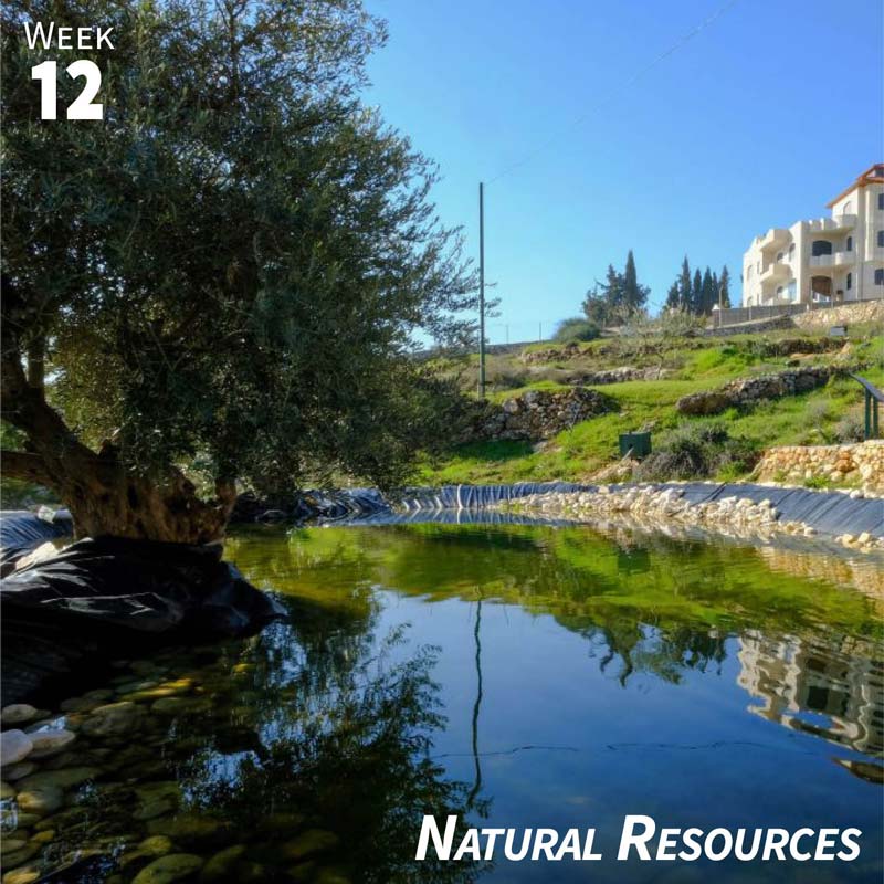 Week 12: Natural Resources