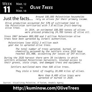 Just the Facts: Olive Trees