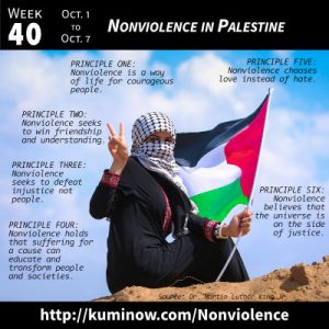 Week 40: Nonviolence in Palestine Newsletter