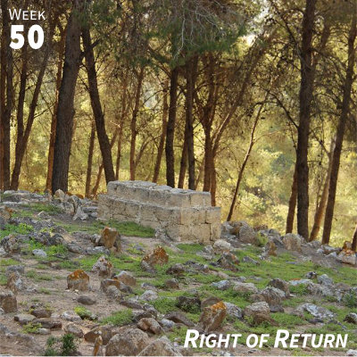 Week 50: Right of Return