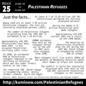 Just the Facts: Palestinian Refugees