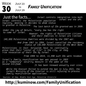 Just the Facts: Family Unification